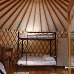 Les Yourtes Du Perche * Coulonges-sur-Sarthe